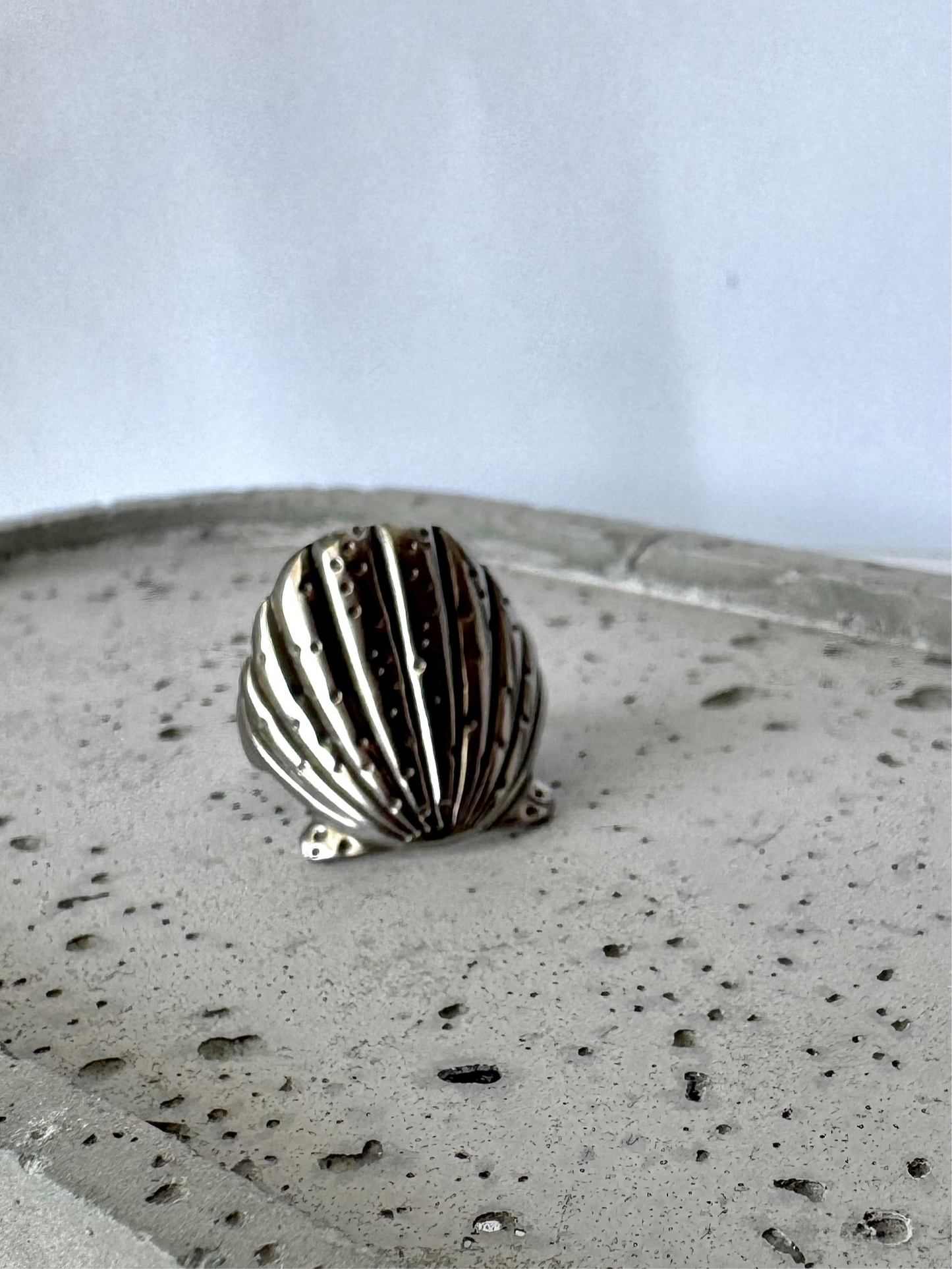 Sea Shell