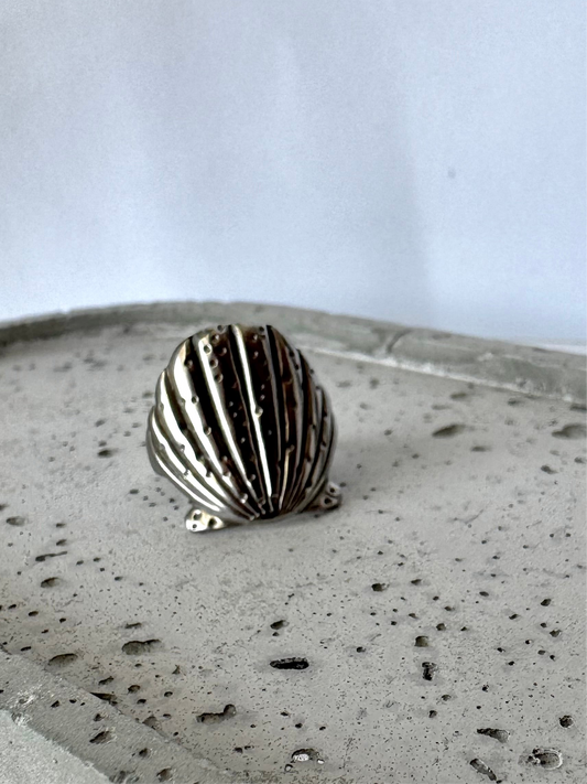 Sea Shell