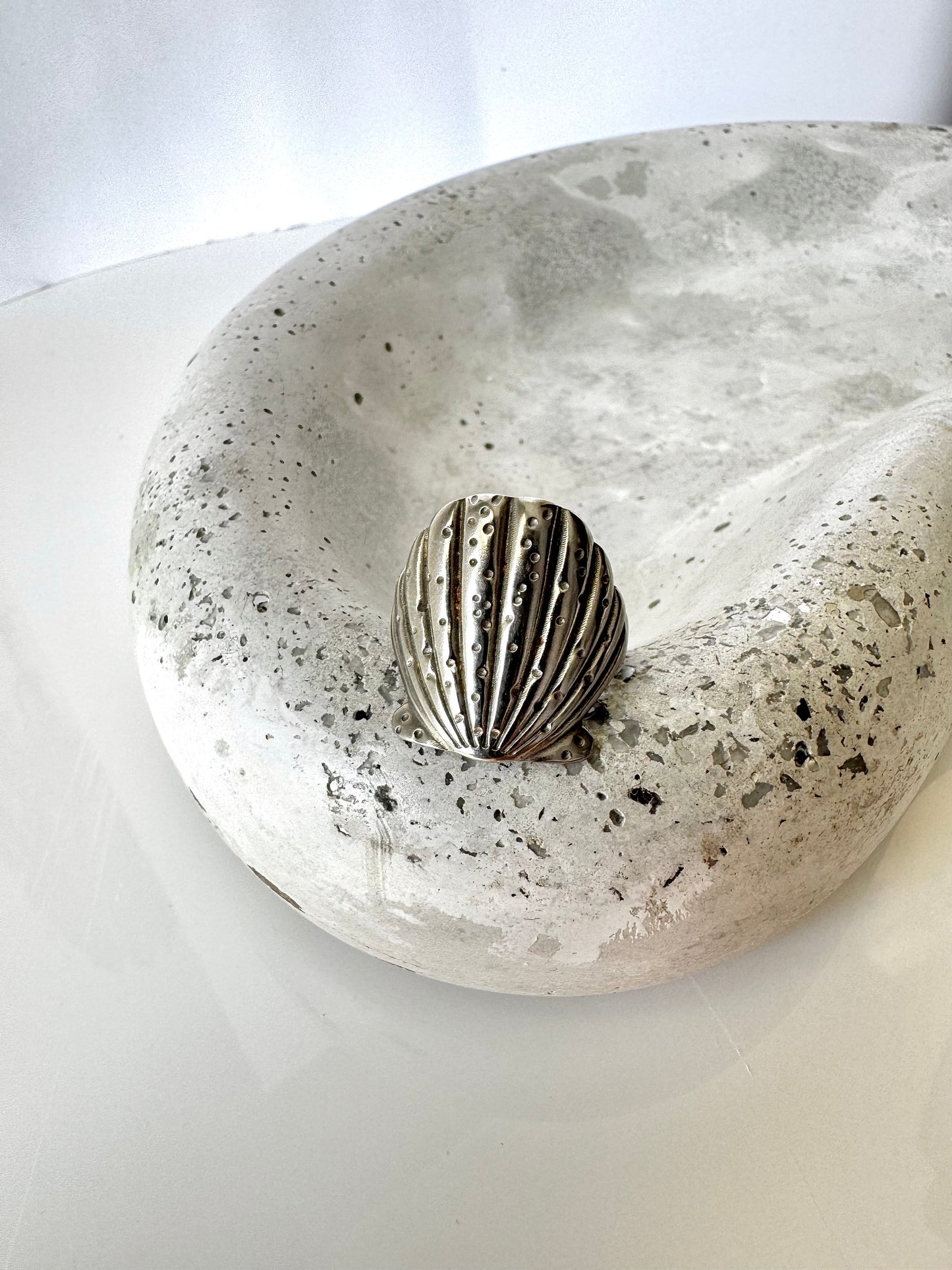 Sea Shell